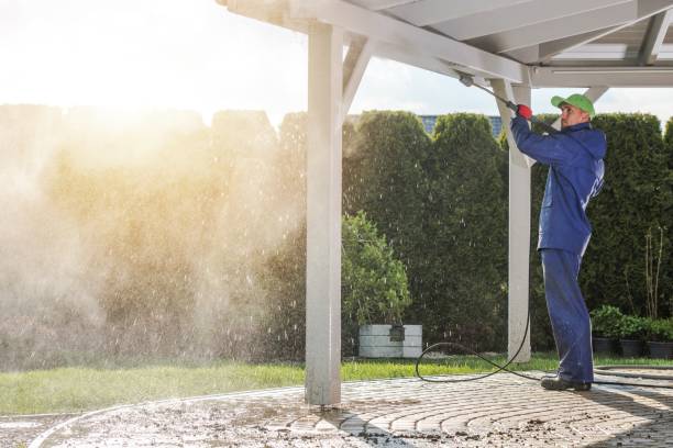 Professional Pressure Washing in Timberville, VA